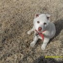 신덕농장 이미지