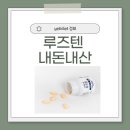 텐 프로 | 루즈텐 효과, 부작용, 가격, 내돈내산후기, 복용법 총정리