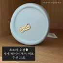 강민경 여름 쿠션 포트레 벨벳 레이어 쿠션 매트 23호 후기