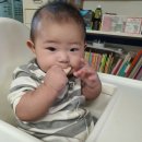 리안 Daum카페