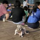 소낙스부산강서점 | 내 기준 대확행 보낸 8월 첫째주 기록크.