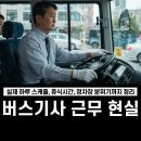 정기사 네이버블로그