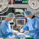 타임즈 동물의료센터 이미지