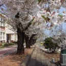 주산교실A 이미지