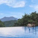 포레스트리솜 이미지