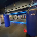 위너 복싱 이미지