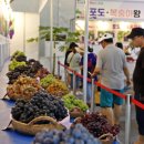 옥천공설운동장 이미지