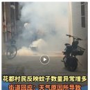 구)청룡주민센터 | 광저우 화두구 모기 많아요 중국어뉴스로 중국어공부하기