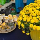 맛있는 빵과 달콤 디저트 이미지