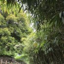 우중불고기 이미지