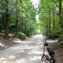 옥구2교 이미지