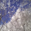 자연과사람 이미지