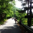 지리산에서의 하루 이미지