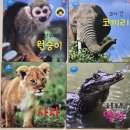 대화올챙이 | 돌전 자연관찰 책 추천! 올챙이 자연동화 아기 실사책 입문 (돌아기 책 내돈내산 후기)