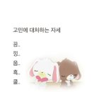 선일