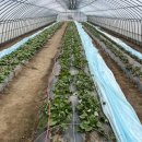 종순농장 이미지