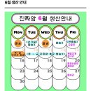 토끼발 | 강아지 밥꾸미기 동결건조 토끼발 내돈내산 후기