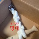 명태의 꿈(아트벤치 | 굿럭피쉬 액막이명태 선물 만들기 액땜 후기