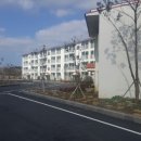 표선리-26 이미지