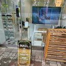 윈썸라라