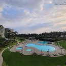 GS골프클럽(536) | [강원도/강릉] 라카이 샌드파인 - 바다가 내려다보이는 오션리조트