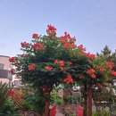 다찌스테이 이미지