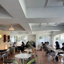 커피와소나무 이미지