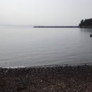 고운몸