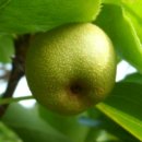 태안농협 농자재마트 이미지