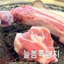 맛소리 | [제주 늘봄흑돼지] 내돈내산 삼겹살 맛집, 블루리본 음식점이라는데... 왜? (솔직후기)
