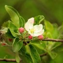 행정사법인 청효 이미지