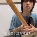 바인홀 이미지