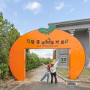 제주스피드코너 이미지