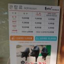 자연생활