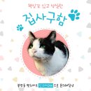 펫츠마트 이미지