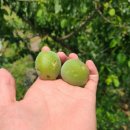 곡성-176 이미지