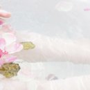 방배로34길 17 이미지