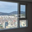 화이트부동산중개사무소 이미지