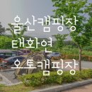태화연 오토야영장 | 울산 중구 태화연 오토캠핌장 후기 :)
