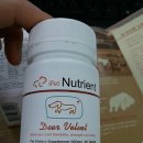 (주)아이펫 이미지