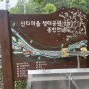 산디마을오토캠핑장 | 근교 캠핑장 오토캠핑장 산디마을오토캠핑장 낭만있는...고양이도 숨어있는 캠핑장 정보 및 솔직후기