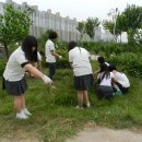 고잔고등학교 이미지