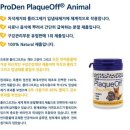만송1통 | 8/12 플라그오프 [8일차] 체험후기