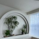 로하 풀빌라 이미지