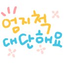 월드복싱체육관