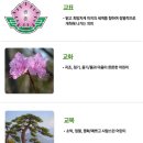 남양주송촌초시우분교장 Daum카페