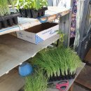 서울농약사 이미지