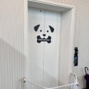 독플러스 이미지