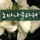 노바꽃집