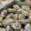 석화해물 이미지